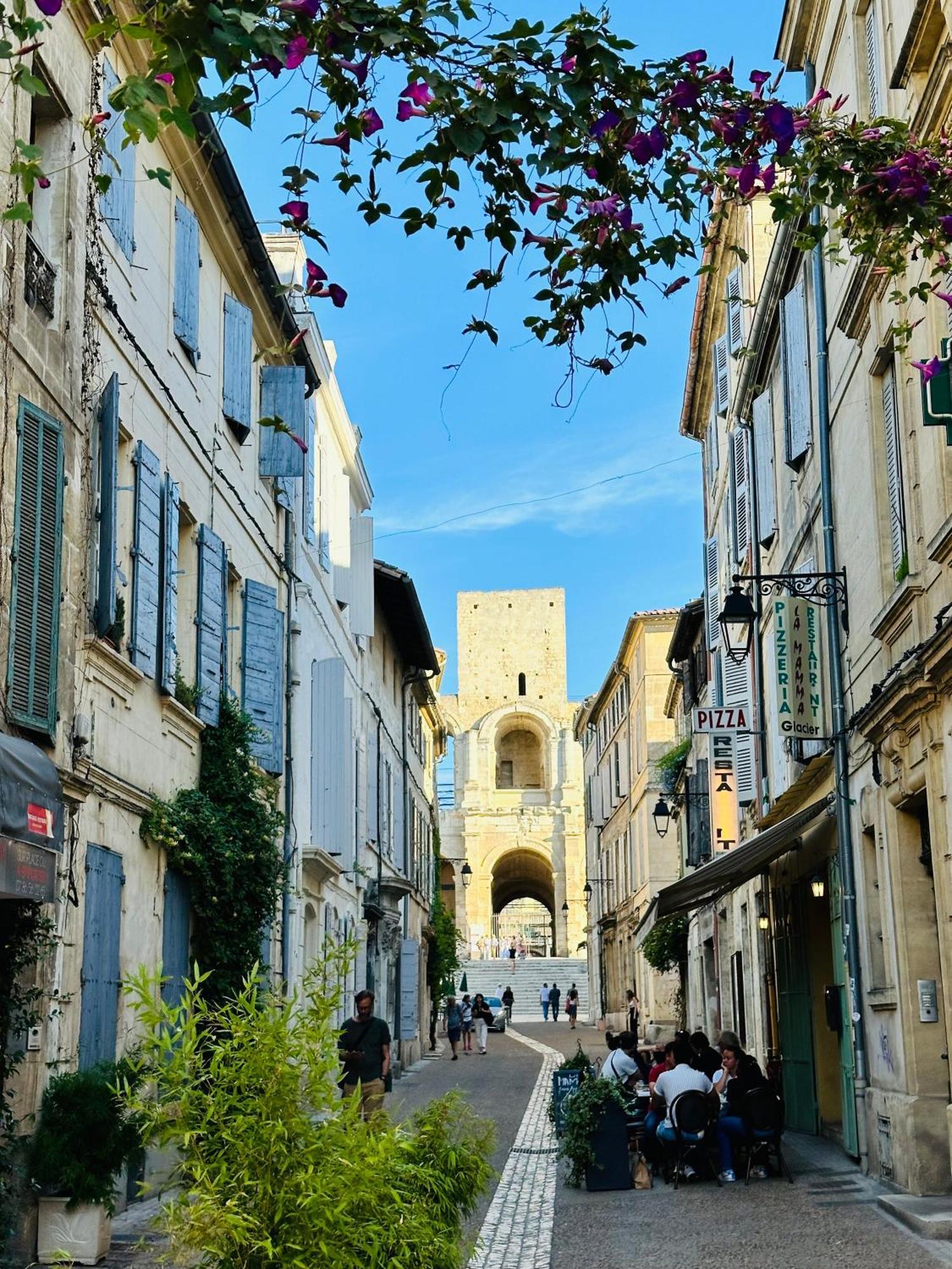 Maison Arenas Arles Bagian luar foto